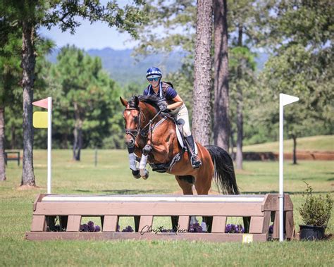 white stuff on cross country horses.